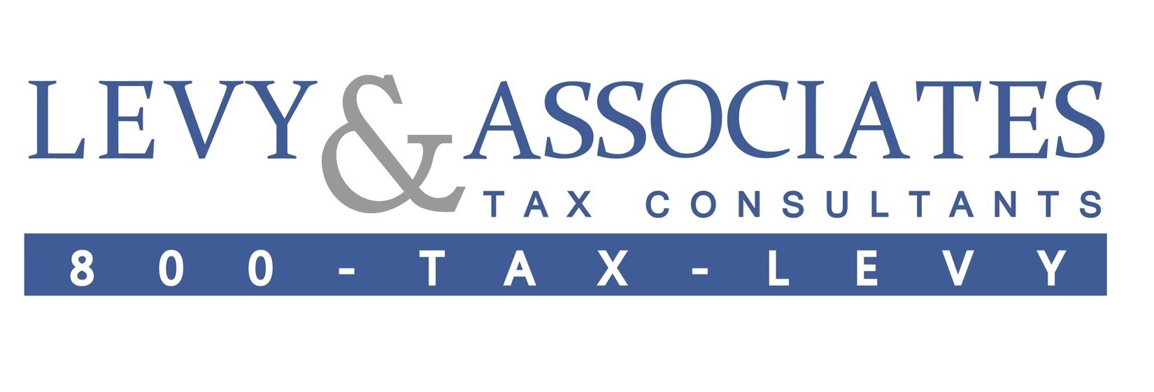 Levy and Associates Logo